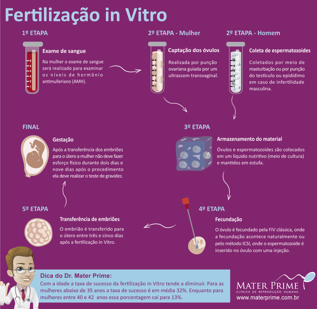 Fertilizacao in vitro