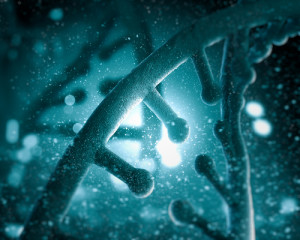 Fragmentação do DNA Espermático