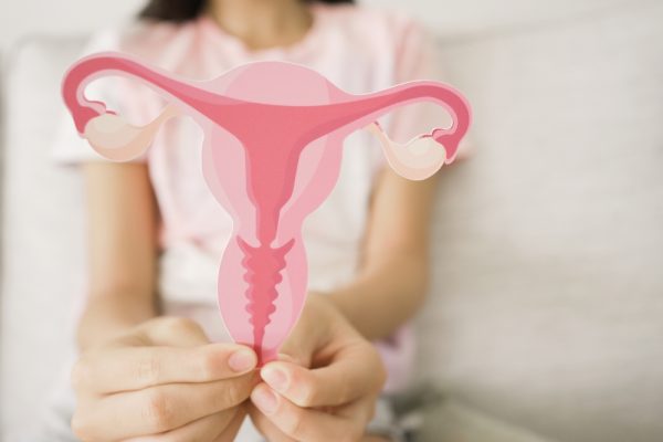 Mulher segurando imagem ilustrativa de um útero.