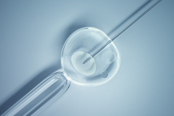 Imagem ilustrativa de uma fertilização in vitro.