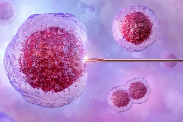 Imagem ilustrativa de um óvulo recebendo um espermatozoide através de um cateter.