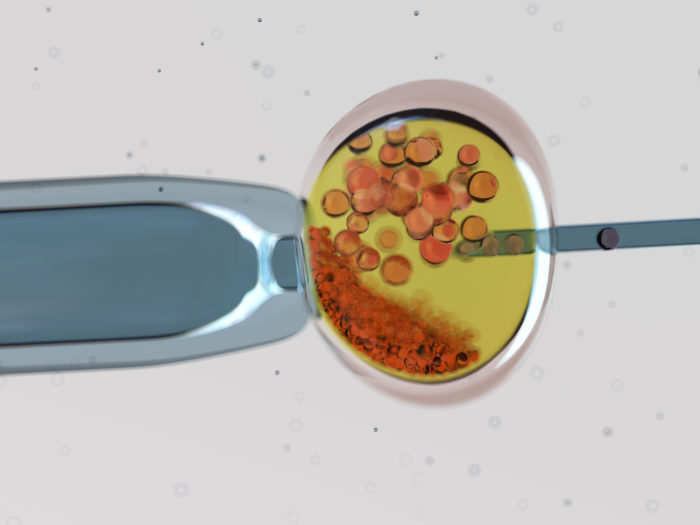 Imagem ilustrativa de um tratamento de reprodução humana, onde uma agulha está inserindo os espermatozoides no óvulo.