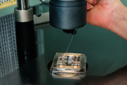 Preço da Fertilização in Vitro (FIV): quanto custa?
