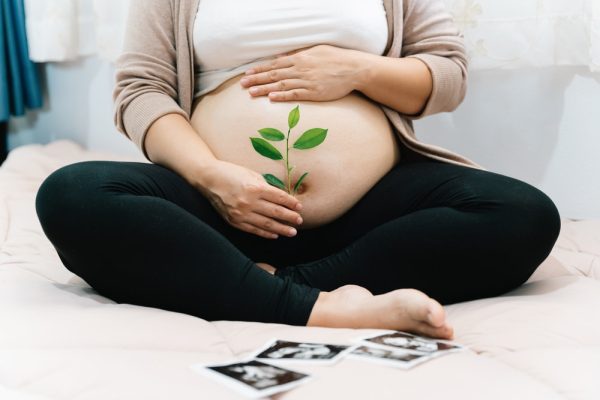 Mulher grávida segurando planta.