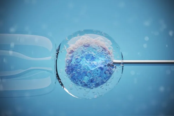 Fertilização in vitro de uma célula feminina humana em um fundo azul. Visão microscópica.