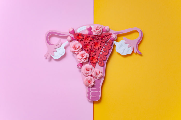 Imagem que faz alusão a um útero sem e com endometriose