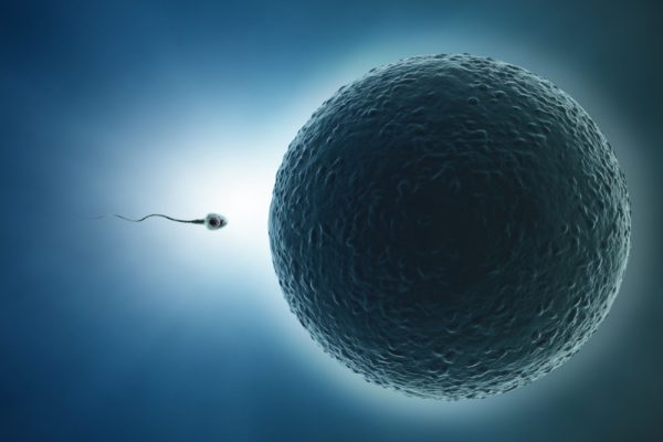Imagem ilustrativa de um espermatozoide chegando em um óvulo.