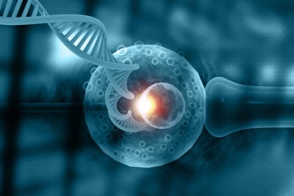 molécula de DNA ao lado de um embrião, representando o teste genético pré-implantacional (PGT-A, PGT-P e PGT-M)
