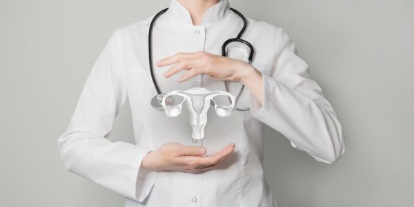 Médica segura um modelo do sistema reprodutor feminino em branco