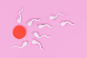 Espermatozoides imóveis: o que são e como tratar?