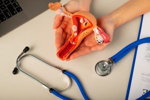 Receptividade endometrial: o que é e sua importância