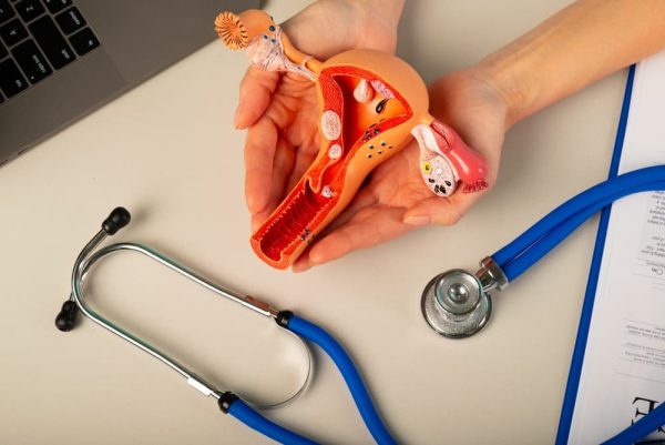 mãos femininas segurando um útero para representar receptividade endometrial