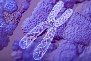 Tipos de aneuploidia: conheça as variações cromossômicas