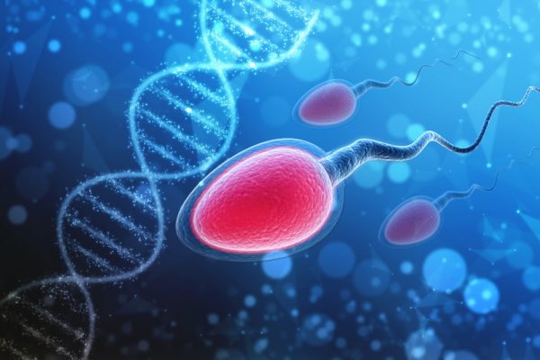 Como a motilidade espermática afeta a fertilidade?