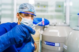 Quais são as chances de engravidar com embriões congelados?
