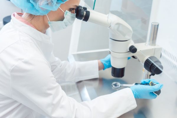 Médica/embriologista analisando material no microscópio.