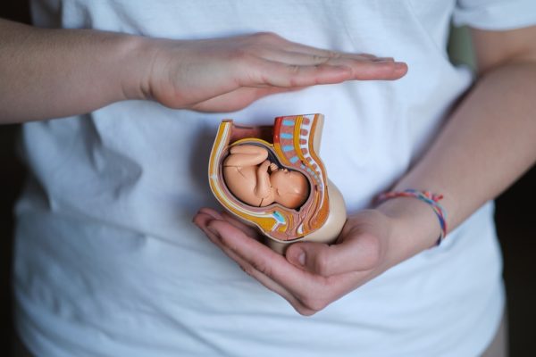 Pessoa segurando protótipo de bebe na barriga