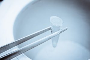 Quais são as chances de engravidar com óvulos congelados?