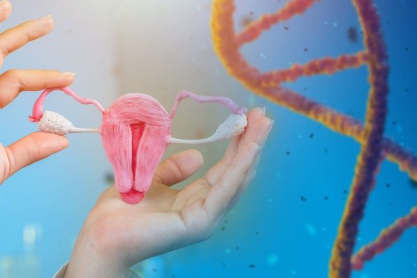 Imagem ilustrativa de uma mão segurando um útero e células DNA ao fundo.