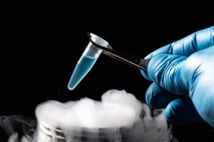 Preço do congelamento de óvulos: quanto custa?