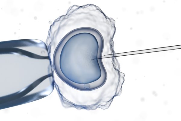 Imagem ilustrando processo da fertilização in vitro