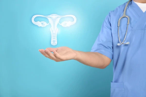 Médico segurando ilustração do aparelho reprodutor feminino representando a espessura do endométrio na FIV.