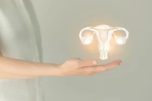 Quem tem útero e não tem ovários pode engravidar por fertilização in vitro (FIV)?