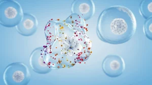 Estresse oxidativo no sêmen e fertilidade