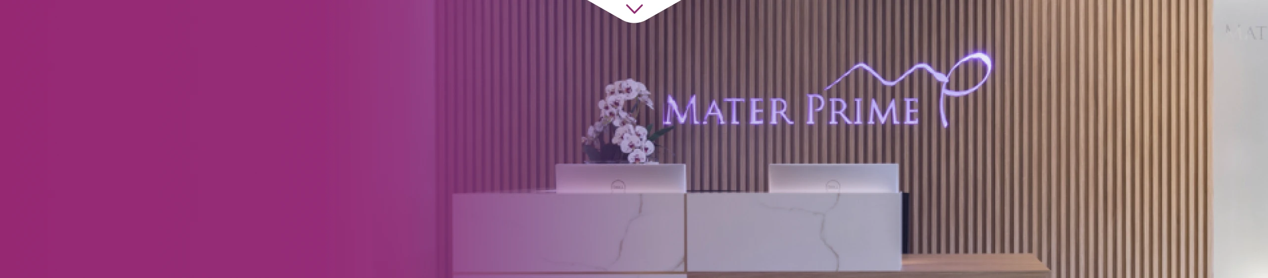 Recepção Mater Prime