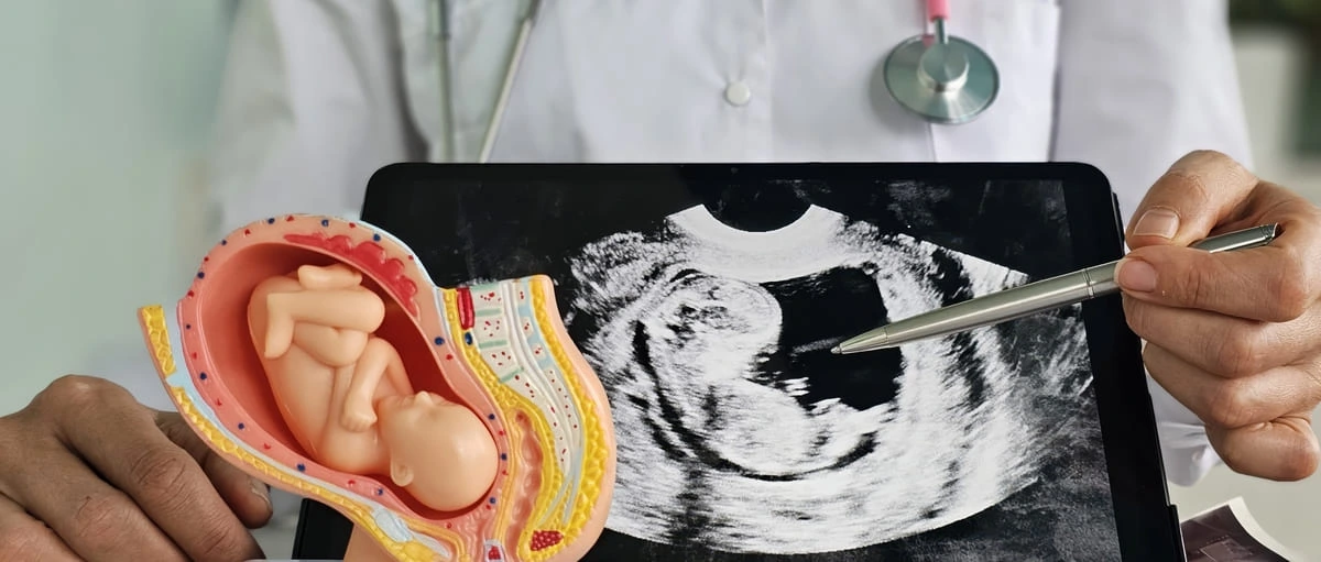 Fertilização in vitro e câncer infantil: o que realmente se sabe sobre essa relação?