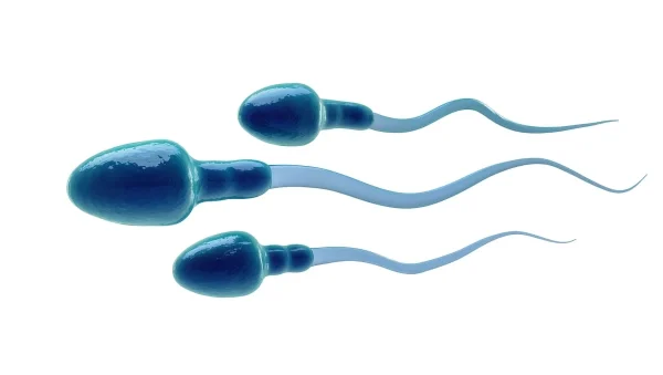 Ilustração de espermatozoides representando a avaliação realizada pelo teste de ENDTZ.